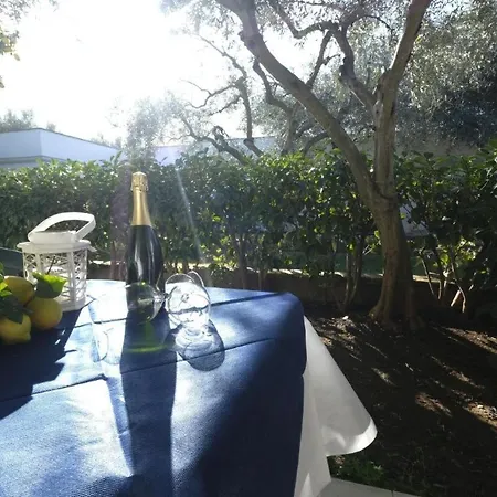 Ulivo With Pool And Private Holiday home