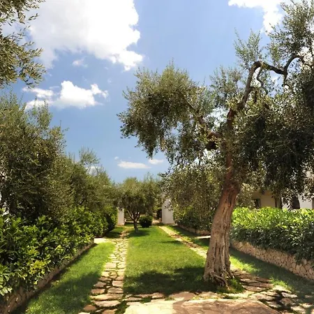 Holiday home Ulivo With Pool And Private Mattinata
