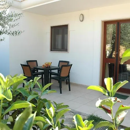 Ulivo With Pool And Private