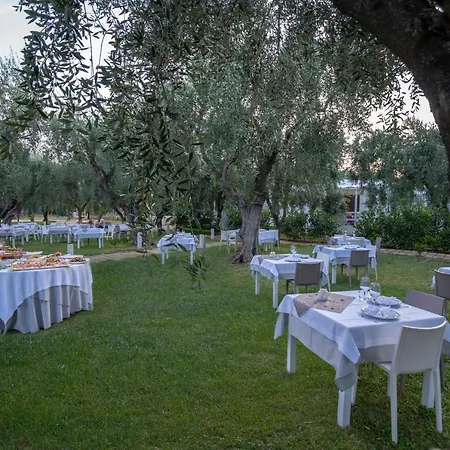 Ulivo With Pool And Private