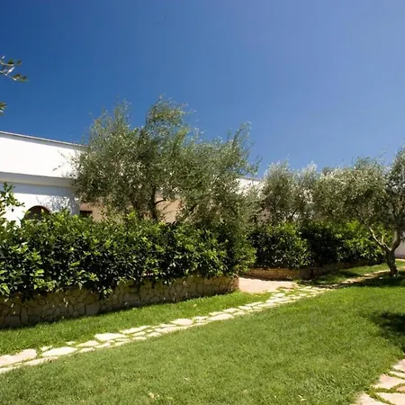 Ulivo With Pool And Private Holiday home Mattinata