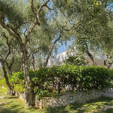 Ulivo With Pool And Private Holiday home *