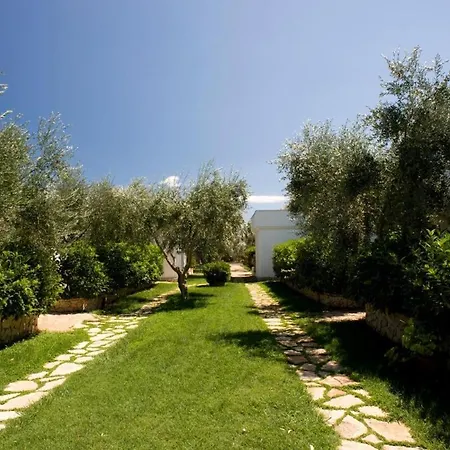 Ulivo With Pool And Private *