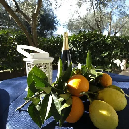 Holiday home Ulivo With Pool And Private