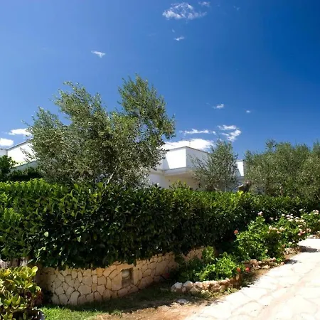 Ulivo With Pool And Private Mattinata