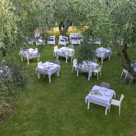 Ulivo With Pool And Private * Mattinata