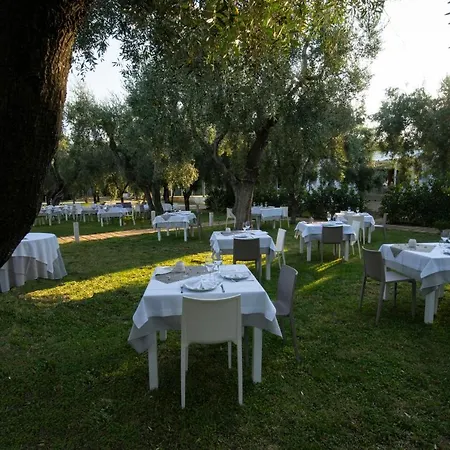 Ulivo With Pool And Private
