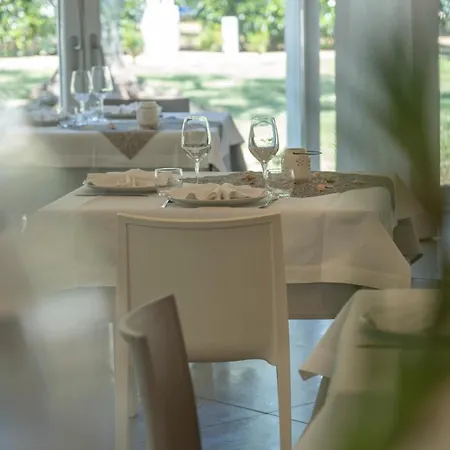 Ulivo With Pool And Private * Mattinata