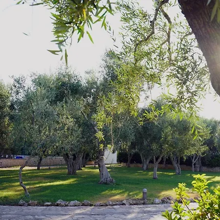 Ulivo With Pool And Private Holiday home *