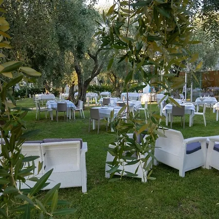 Ulivo With Pool And Private *