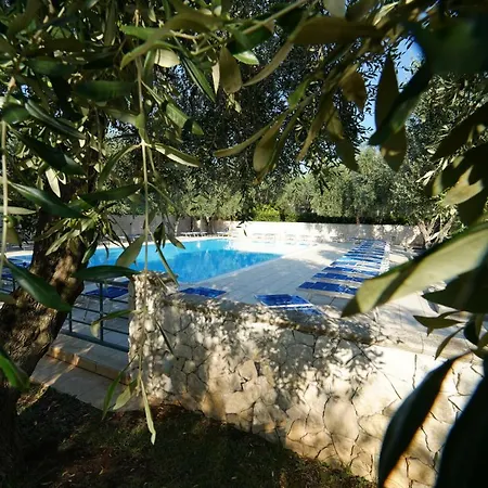 Ulivo With Pool And Private Holiday home