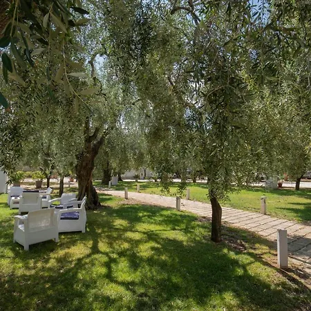 Ulivo With Pool And Private Holiday home Mattinata