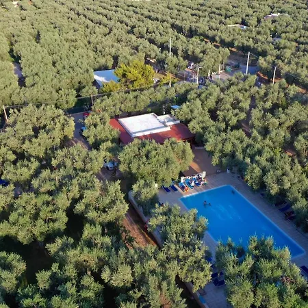 Holiday home Ulivo With Pool And Private Mattinata