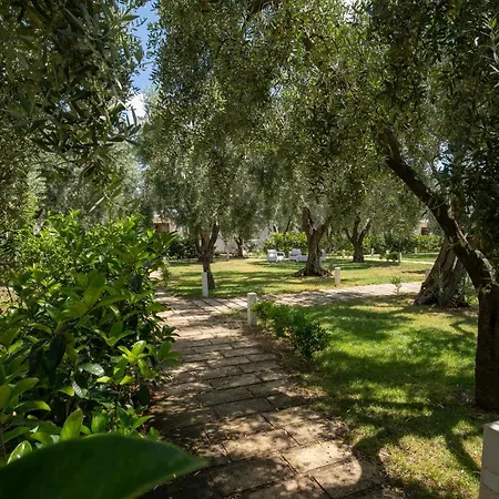 Holiday home Ulivo With Pool And Private