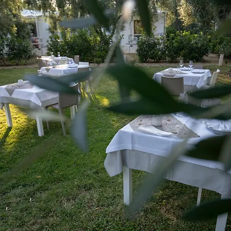 Ulivo With Pool And Private Holiday home *