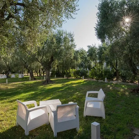 Ulivo With Pool And Private