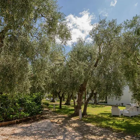 Holiday home Ulivo With Pool And Private